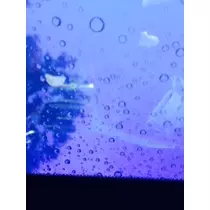 ゆかり