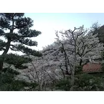 水瀬 愛理
