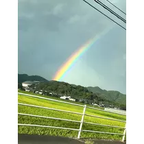 りさ