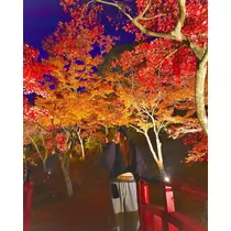 美咲 れい