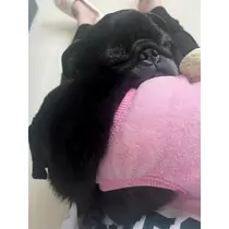 綾瀬 優