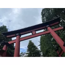 お茶の水うらん