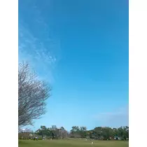 りょう