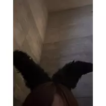 みやび