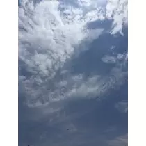 かおり