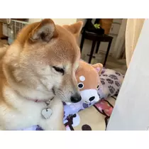 ツンデレかなの