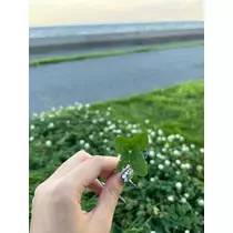 ゆめち