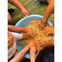 しほ