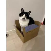 黒川 すみれ