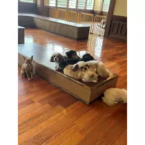 むつみ