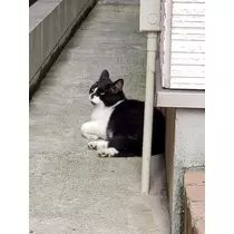 エミ （スタッフ）