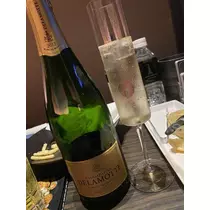 白石 愛莉
