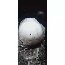 千兎 ちひろ