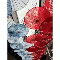 桐島 りゅう