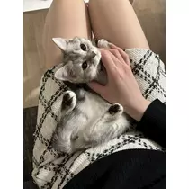 佐倉 里緒