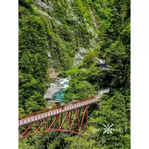 神崎 唯