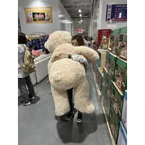 広報担当