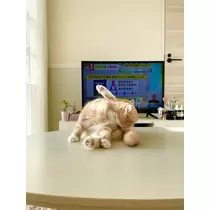 あおい