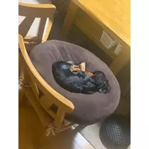 なつき