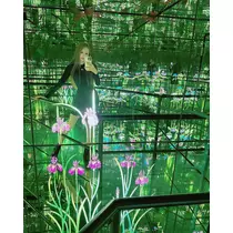 一条 葵