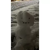 あみ
