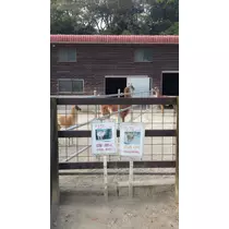 立花 咲