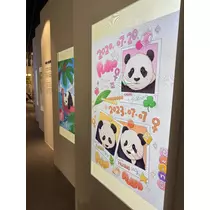緑 四葉