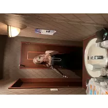 ユメ