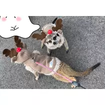 くるみ