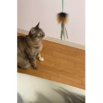 華宮 れい