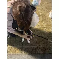 かんな