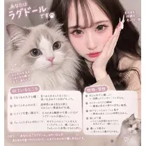 真白 あい