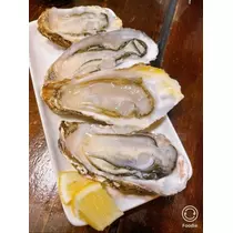 宝條 夏恋