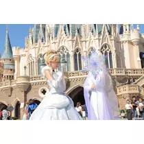 姫花