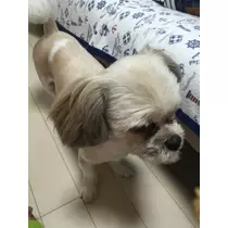 酔超丸 さな
