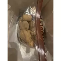 長瀬 純恋