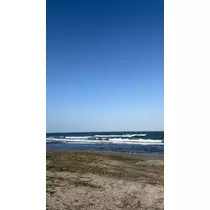 せら