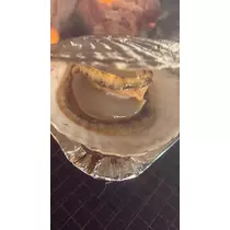佐野 エマ