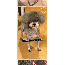 うづき ふうか