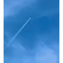 ましろ