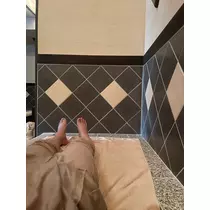 椿