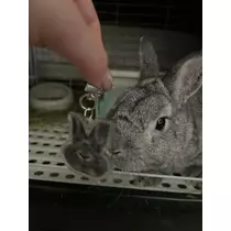 たま
