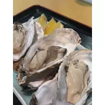 佐野 エマ