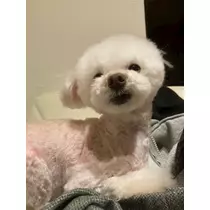 夏樹 あや