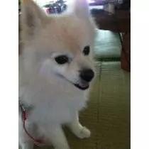 三咲 優