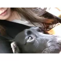 りえ