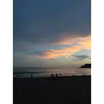 さやか