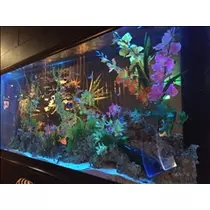愛羽 仁美