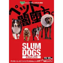 あおい