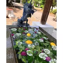 紫月 あやか